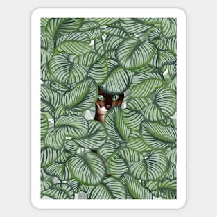 Bengal cat and Calathea orbifolia Sticker